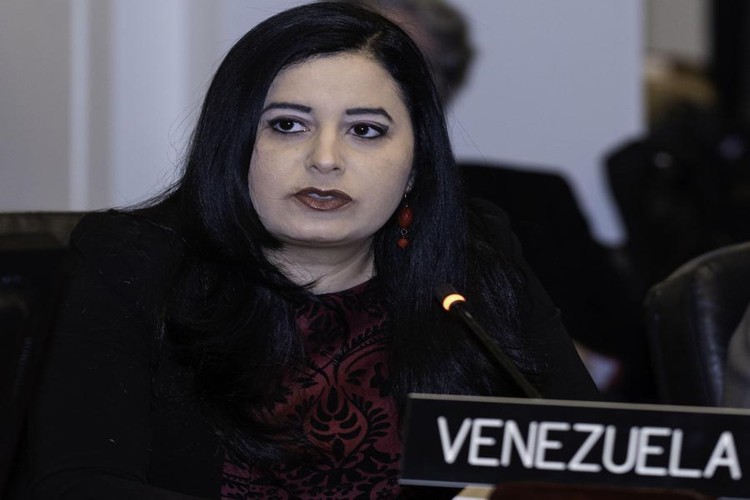 Venezuela denuncia en la OEA un «golpe de Estado»