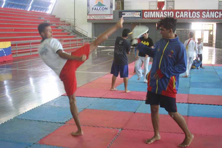 En acción campamento binacional de Taekwondo