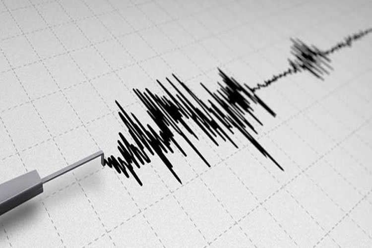 Registran sismo de 2.7 en Boca de Aroa, estado Falcón