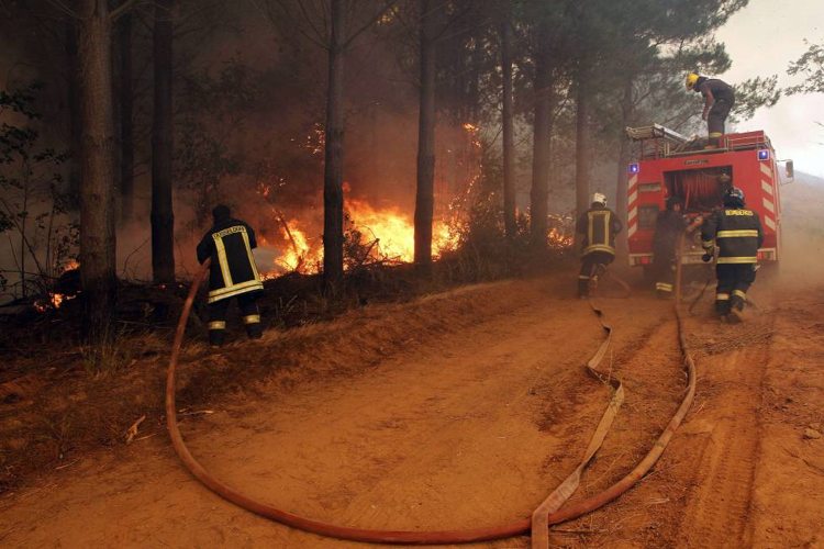 Un total de 40 incendios forestales se mantienen activos en Chile