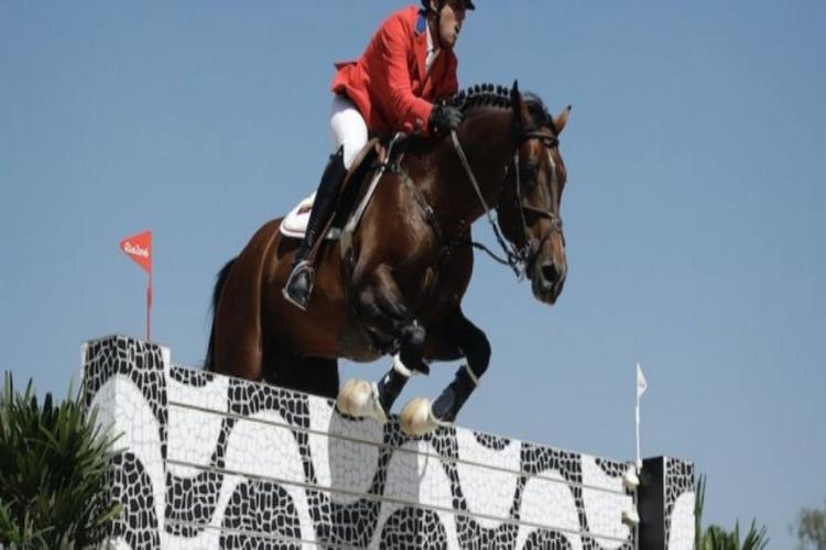 Subastan los caballos confiscados a Alejandro Andrade en EEUU