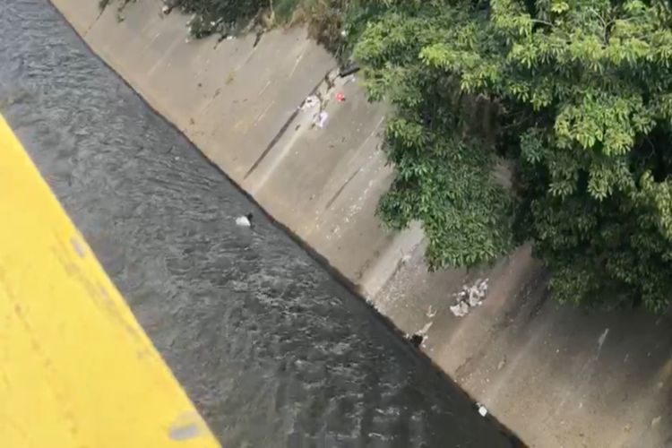 VIDEO | Hombre cayó al río Guaire cuando marchaba en Caracas