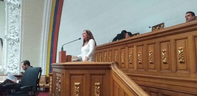 Diputada María Gabriela Hernández exhortó a la comunidad Internacional a defender al pueblo y no a sus gobiernos