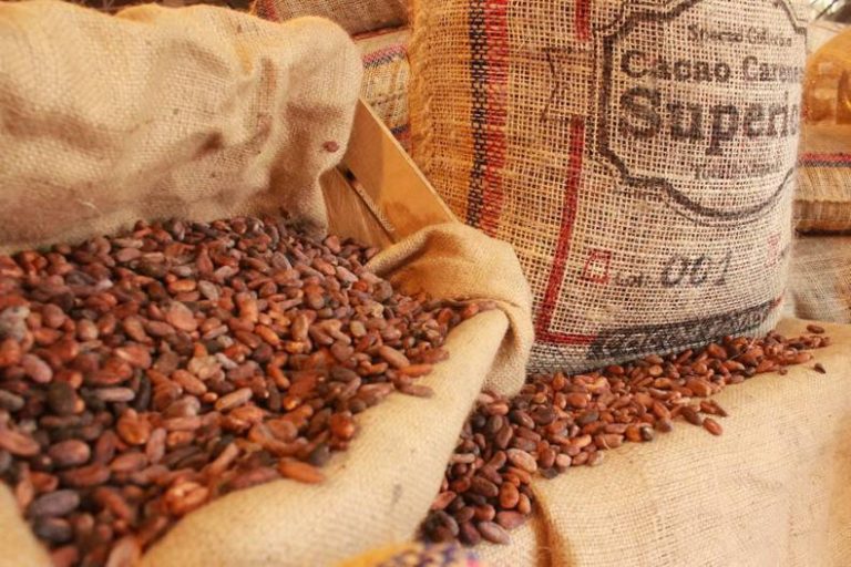 Venezuela exportará 25 toneladas de Cacao hacia Indonesia