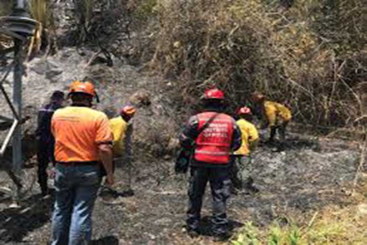 Incendio en Waraira Repano está parcialmente controlado