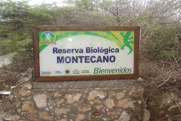 La Reserva Biológica Montecano de Falcón fue declarado Monumento Natural