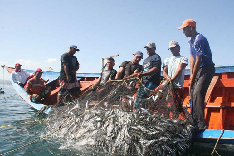 Maduro: 7397 pescadores serán incorporados al seguro social