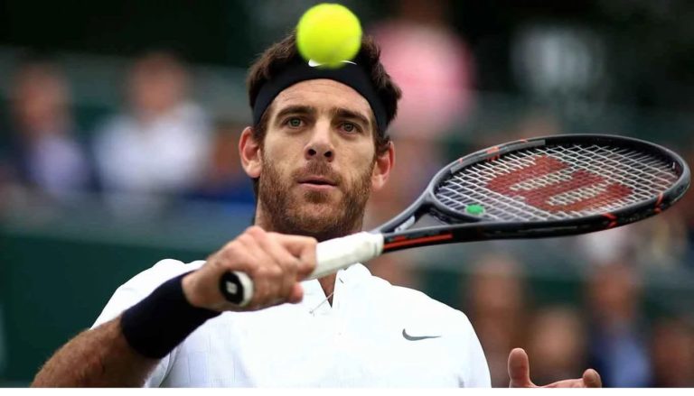 Del Potro se venga de Goffin