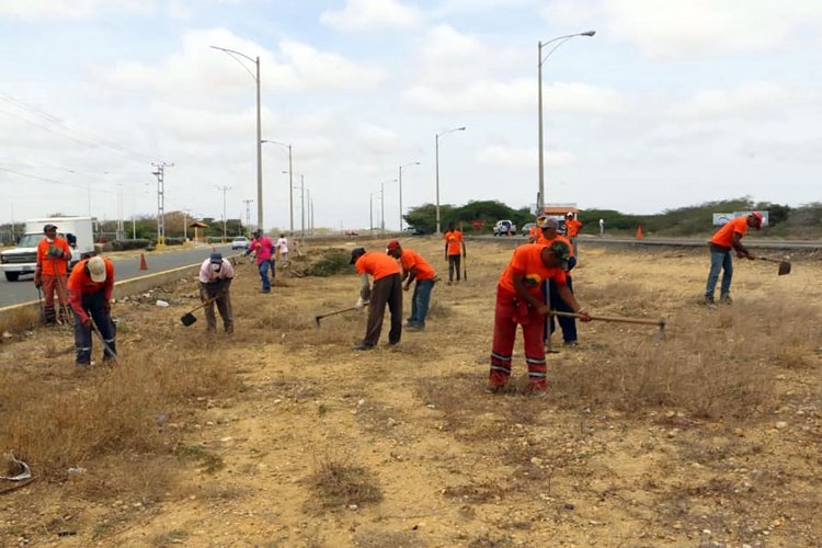 Falcón: Gobierno regional realiza  trabajos de recuperación en la Alí Primera