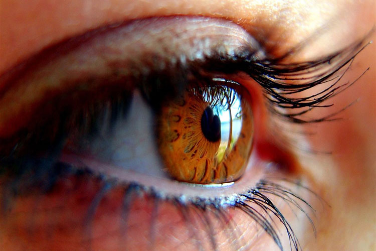 El glaucoma se roba silenciosamente  la vista