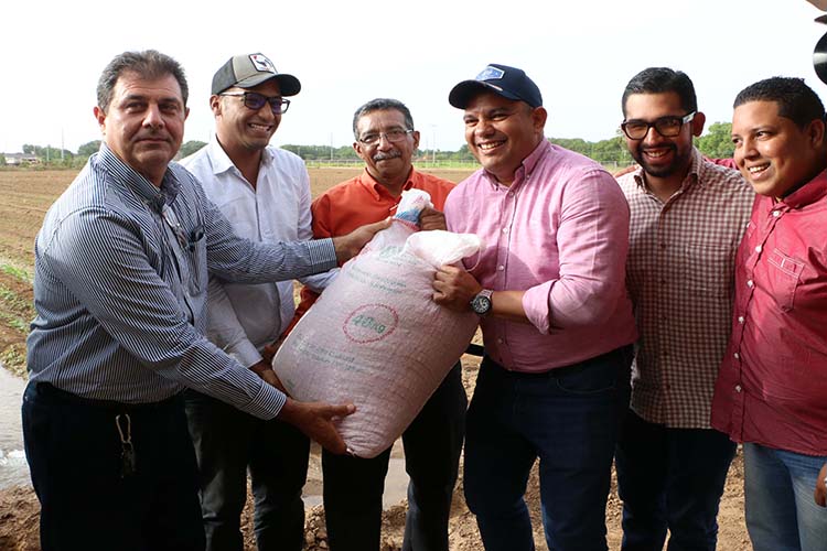 Plan de siembra distribuye semillas para cultivar 249 hectáreas en Falcón