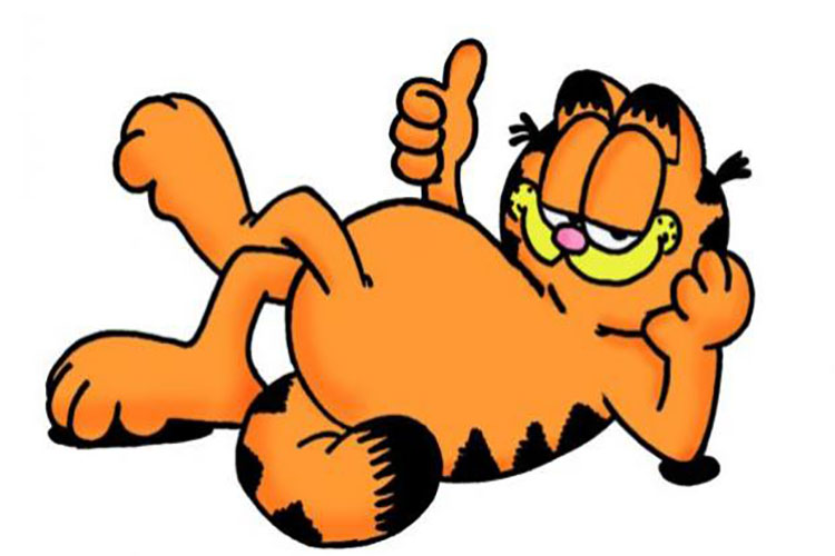 Garfield cumple hoy 19 de junio 41 años