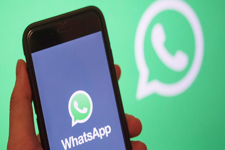 WhatsApp está trabajando para incluir stickers animados en los chats