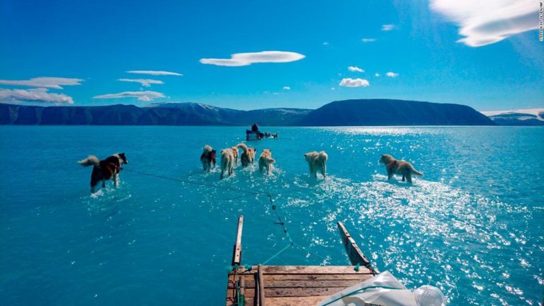 La increíble foto de unos perros jalando un trineo sobre el agua en Groenlandia