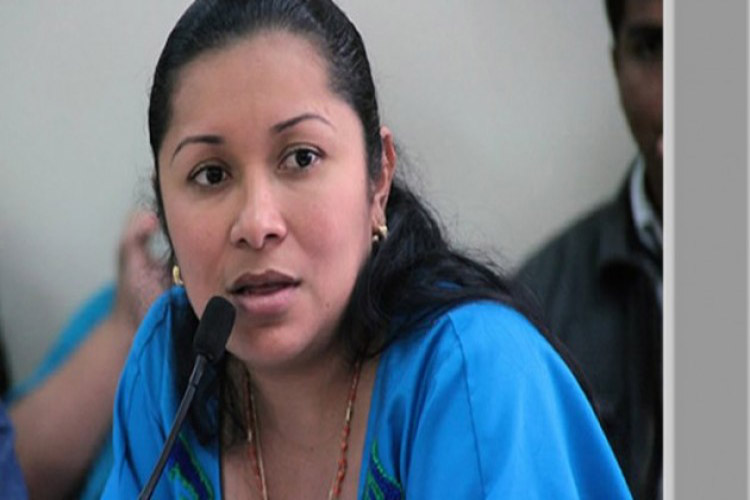 Movimiento Indígena intenta  incluir en nueva constitución la educación bilingüe a toda Venezuela