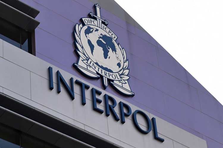 Interpol Panamá captura a 11 extranjeros pedidos en extradición, entre ellos dos venezolanos