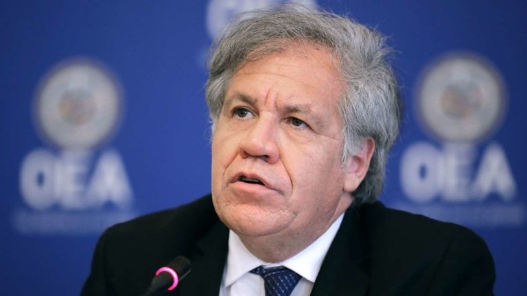 La OEA rechaza destitución de jueces de la Corte Suprema y del fiscal general en El Salvador