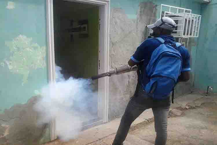 Falcón en zona de seguridad contra el dengue