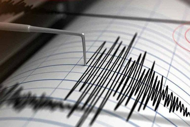 Un sismo de 3.1 de magnitud se registró en la madrugada en Puerto Ordaz estado Bolívar