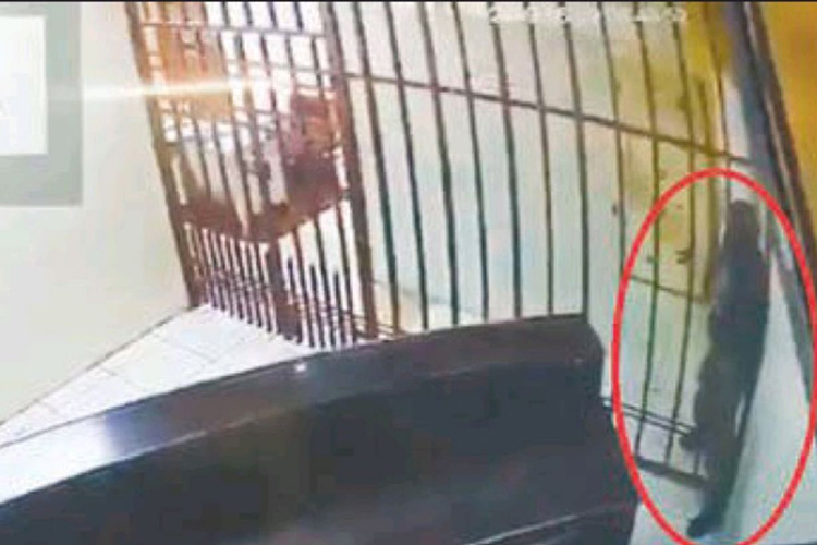Atravesó los barrotes: Ladrón escapó de la celda por ser extremadamente flaco (+video)