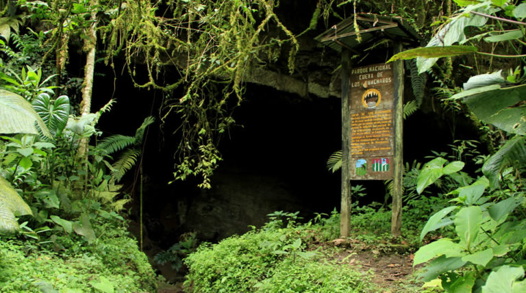 Este 15 de julio: Cueva del Guácharo cumple 70 años como patrimonio cultural