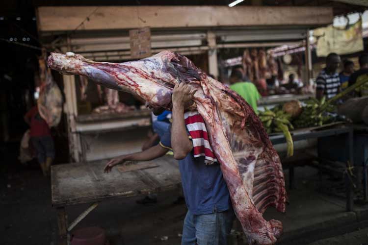Fedeagro alerta que consumo de carne y pollo en Venezuela ha caído más del 70 %