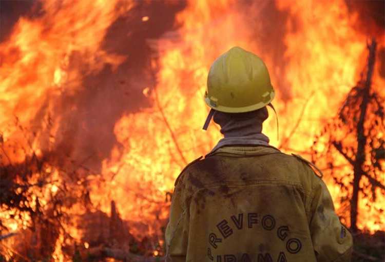 Alertan sobre el aumento de los incendios en la selva de la Amazonia en Brasil