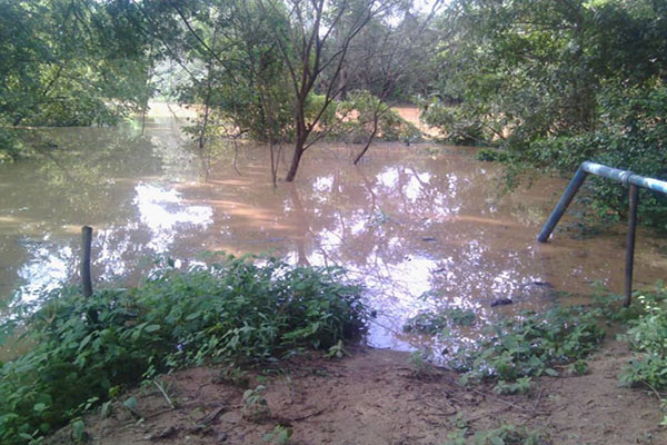 Río Unare se desborda al oeste de Anzoátegui y causa daños a siembras de hortalizas