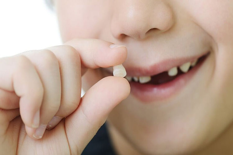 Los dientes de leche de tu hijo pueden salvarle la vida