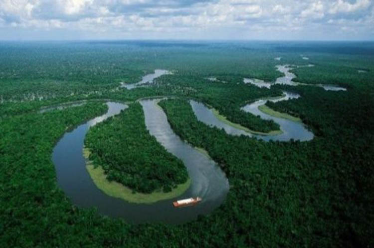 Maduro llama a multiplicar esfuerzos para preservar la vida ante incendio en Amazonía