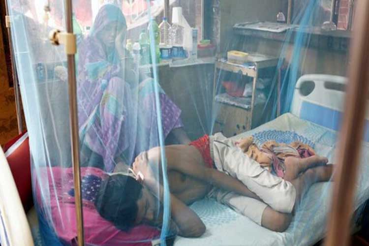 El brote de dengue más grave de Bangladesh deja 40 muertos y 50.000 casos