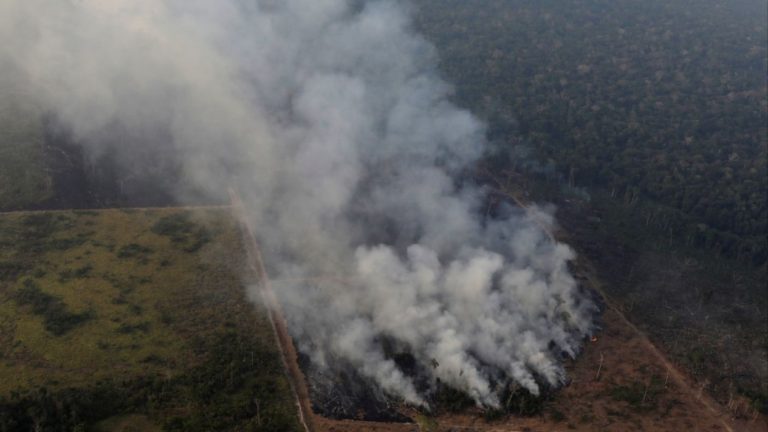 La CE preparada para enviar ayuda contra los incendios en la Amazonía