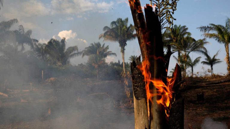 Brasil afirma que los incendios en la Amazonía «no están fuera de control»