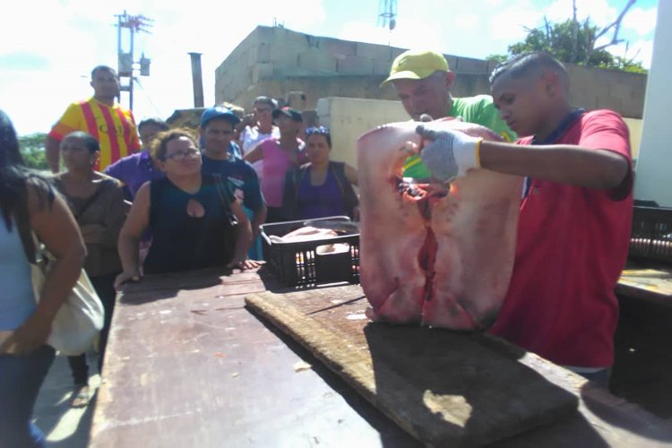Consejos de pescadores vendieron una tonelada de pescado en Pueblo Nuevo