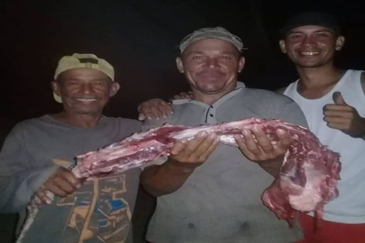 ¡Vivitos y coleando! Pescadores de Adícora aparecieron en costas colombianas