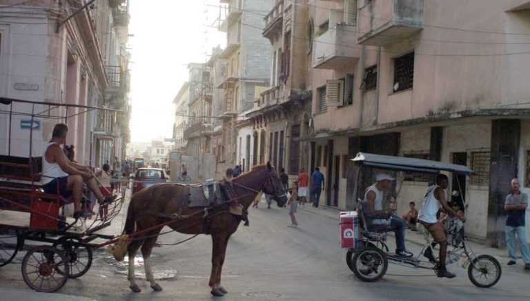 Cuba recurre a caballos y bueyes para paliar su crisis de combustible