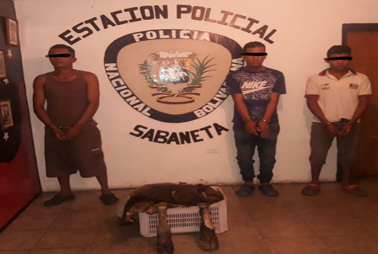 Tres hombres fueron detenidos con cuchillo y piel de animales