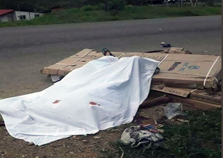 Un muerto y seis heridos deja vuelco de camioneta en Tocópero