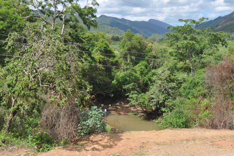Falcón: Habitantes de La Peñita ingieren agua del río