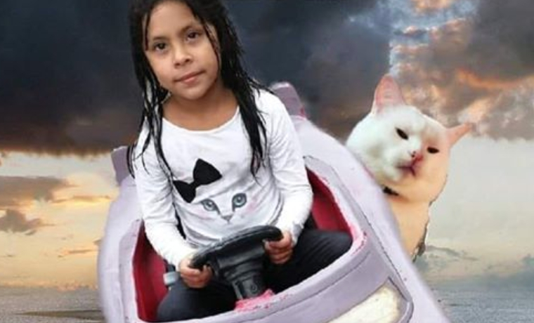 ¡Ni Toretto! El meme y video de la niña que atropella a un gato (+Origen)