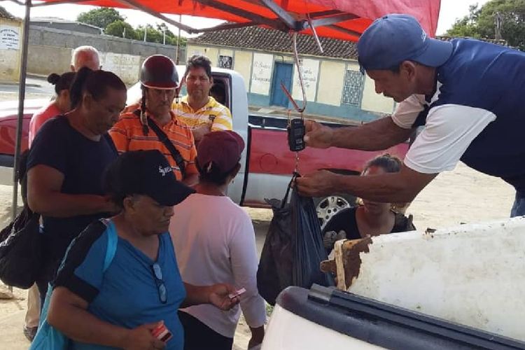 Pescadores del municipio Falcón garantizan el rubro a sus comunidades