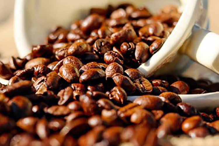 Producción de café bajará 80% este 2020