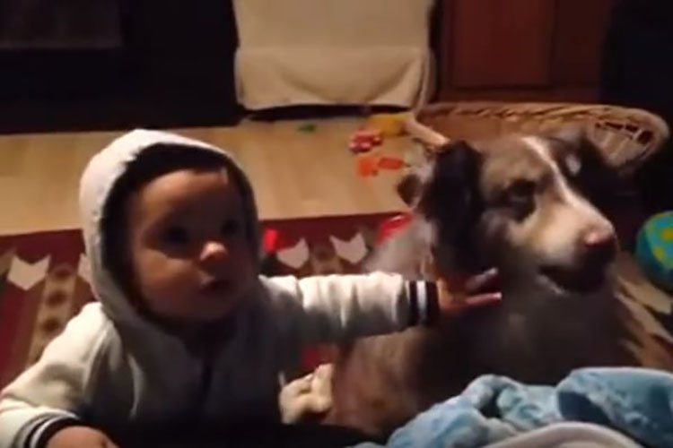 Bebé y perrito compiten en decir primero «mamá» (+Video)