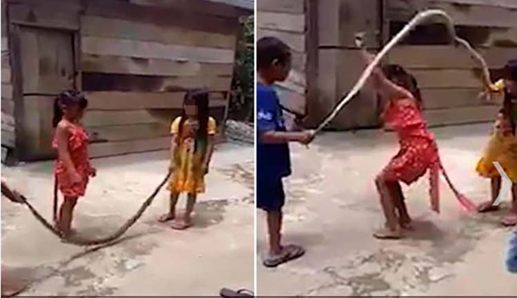 Niños en Vietnam jugaron saltar a la cuerda con una serpiente  