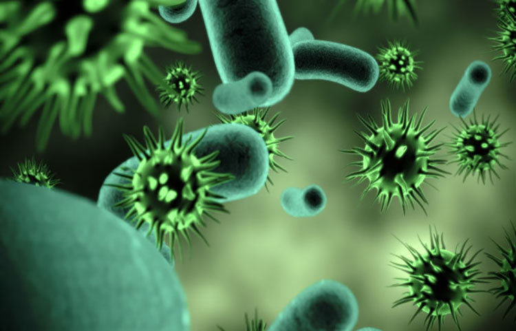 Estudio advierte que las bacterias están evolucionado contra los antibióticos