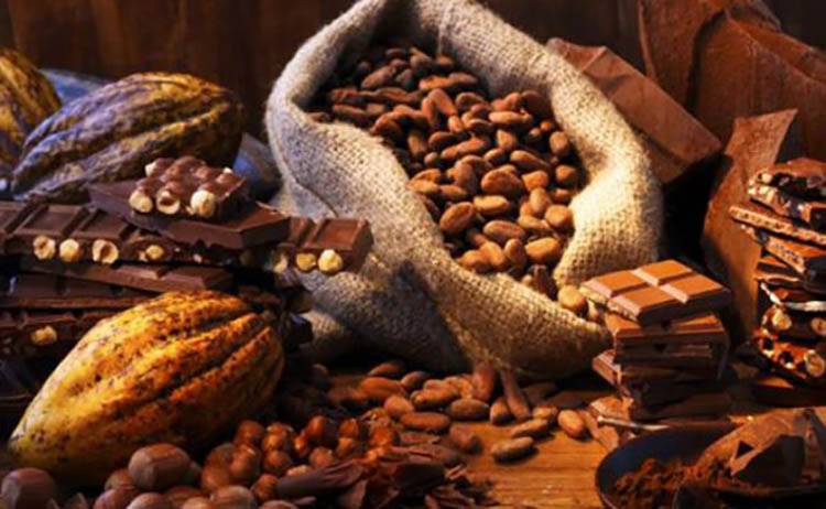 Cacao venezolano ganó reconocimiento de excelencia en Salón del Chocolate de París