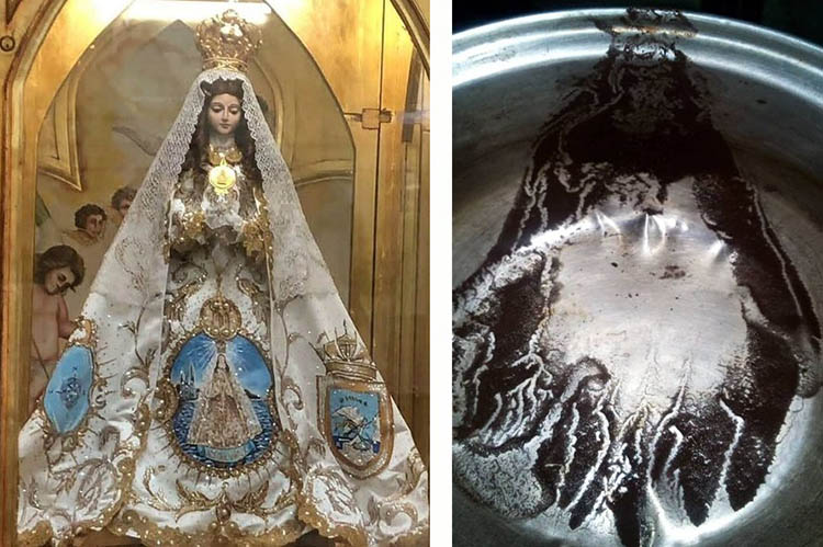 Aparece imagen de la Virgen María en Punto Fijo