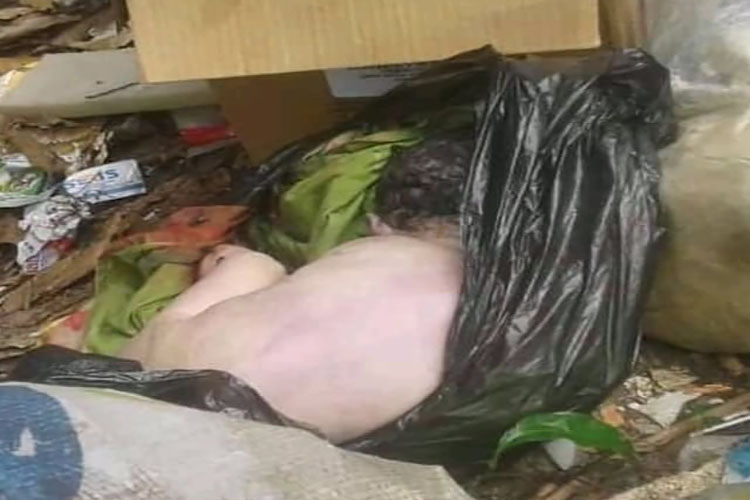 FOTOS| Indigente buscaba comida y encontró cadáver de un bebé en basurero de Valencia