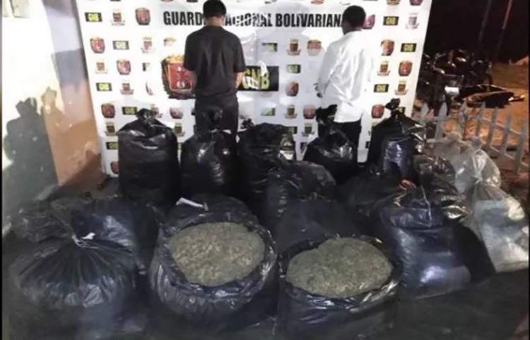 252 kilos de marihuana fueron incautados por la GNB en PAC de Mérida