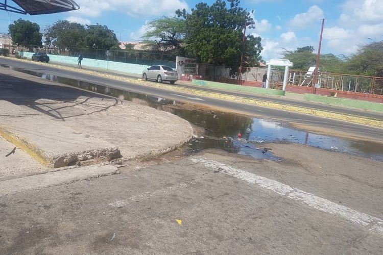 Caos sanitario en Punto Fijo por aguas putrefactas